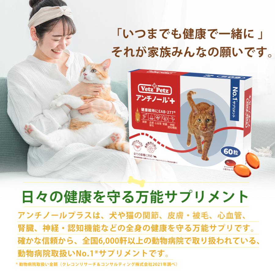 アンチノール プラス 60粒 猫用 サプリ 猫のサプリメント