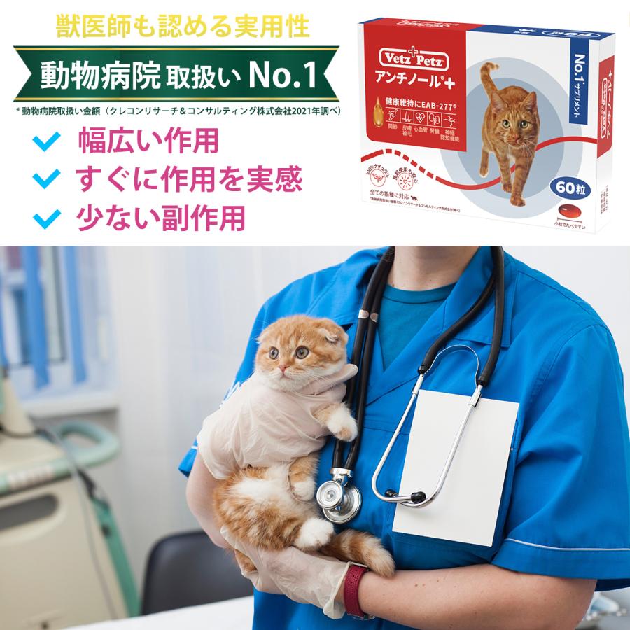 アンチノールプラス 猫用サプリメント 60粒 : Chronus-クロノス