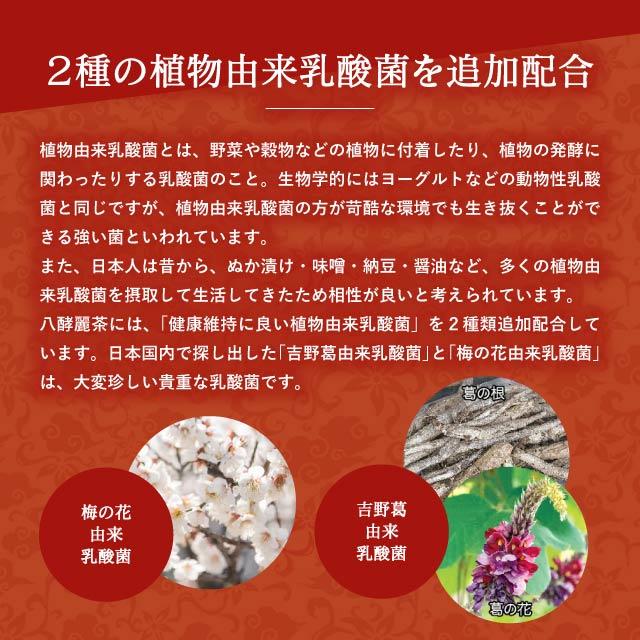 2箱セット はつらつ堂 八酵麗茶 96包 : Chronus-クロノス - 通販