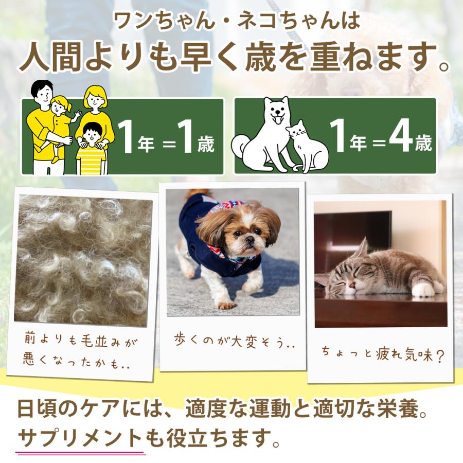 アンチノール プラス 犬用 60粒 サプリメント : Chronus - 通販 アンチノール プラス 犬用 60粒 サプリメント : Chronus - 通販