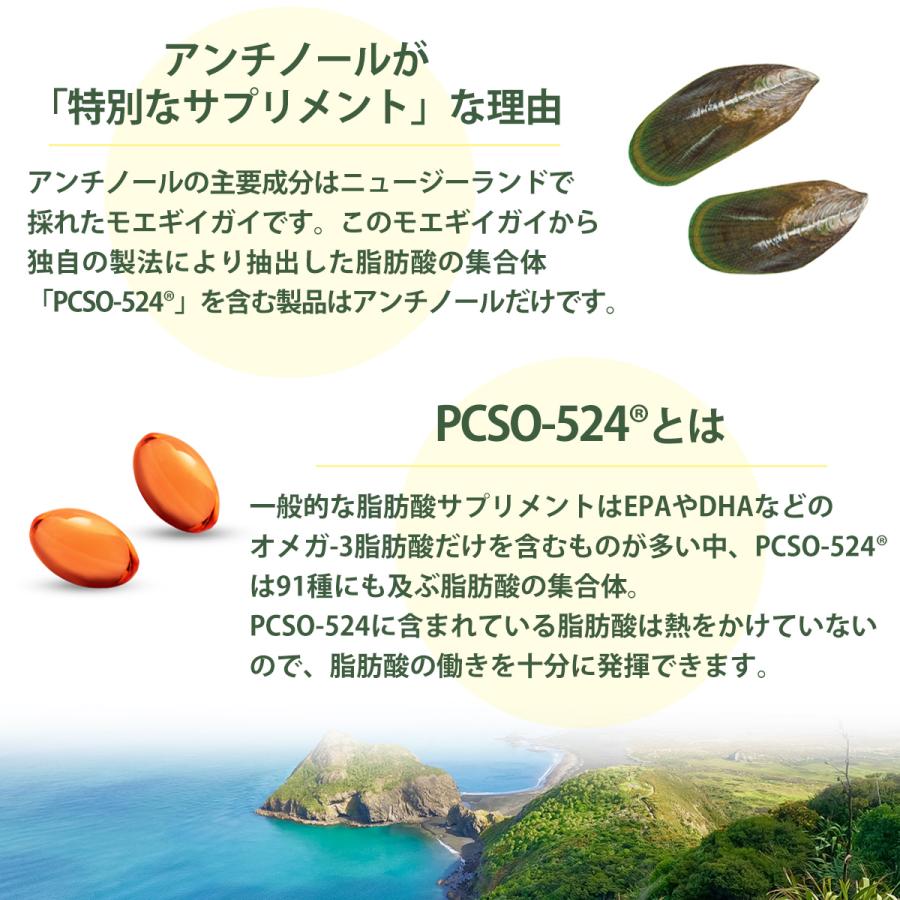 アンチノール プラス 犬用 60粒 サプリメント : Chronus