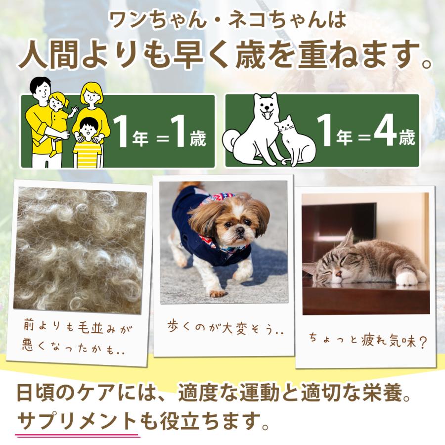 アンチノール プラス 犬用 90粒 サプリメント｜mineruva｜03