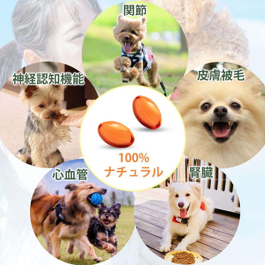 アンチノール プラス 犬用 90粒 サプリメント｜mineruva｜06
