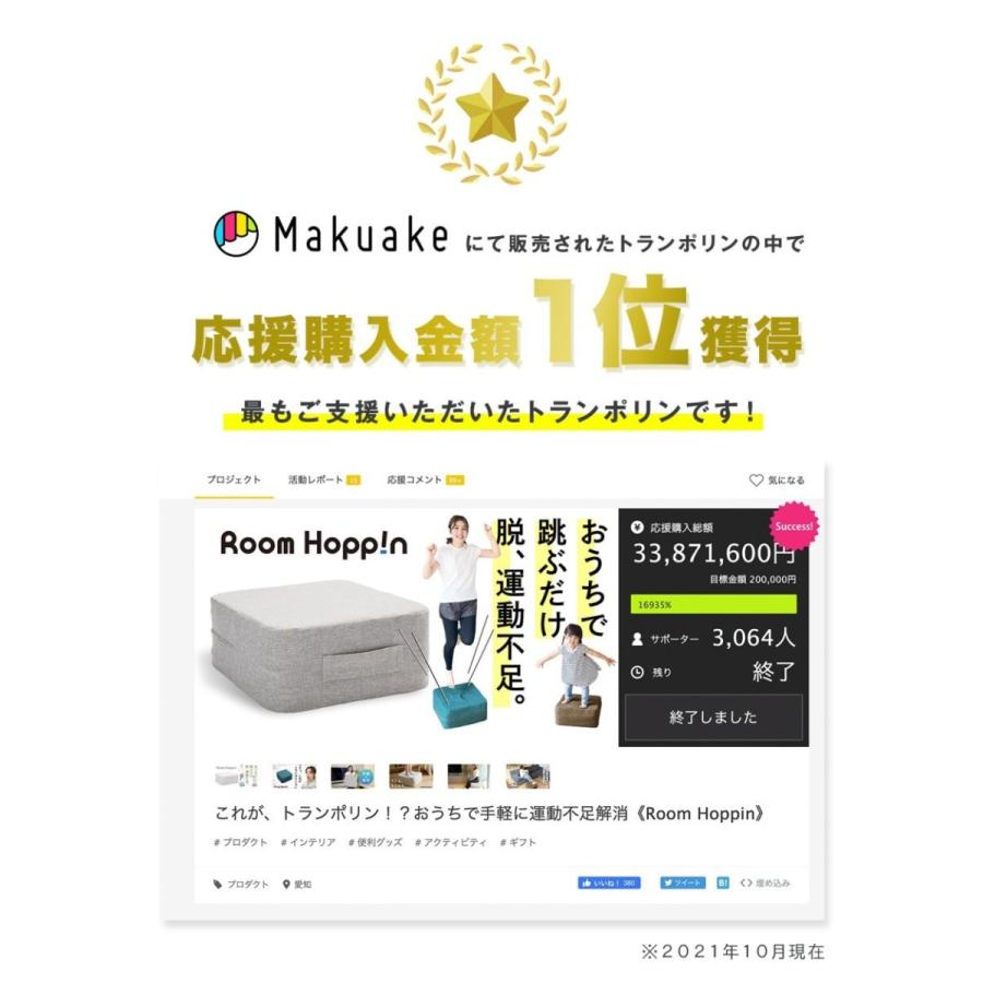2個セット】ルームホッピン トランポリン クッション 大人用