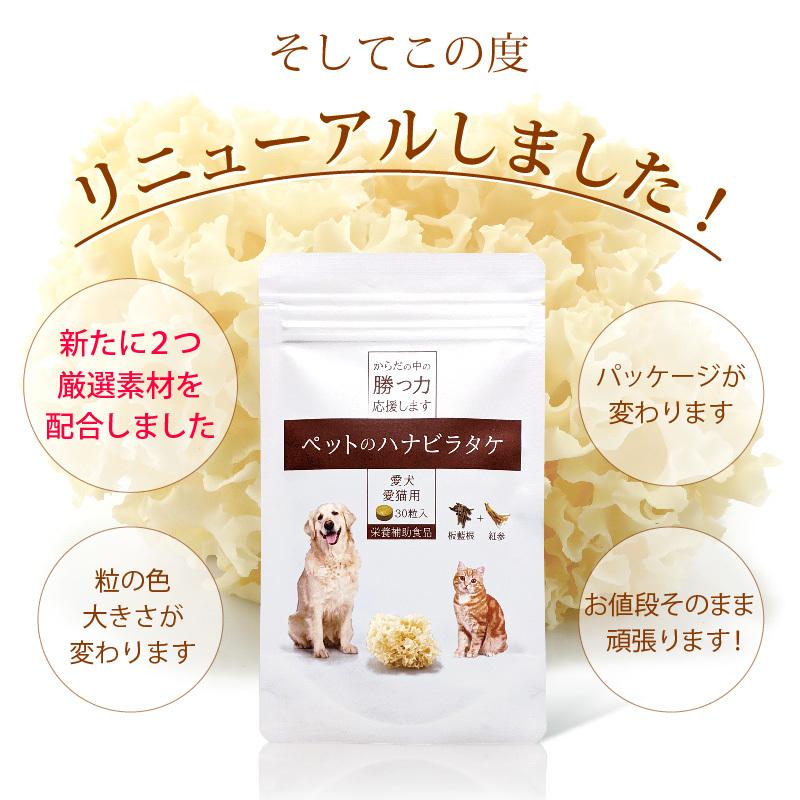 【お試し】ペットのハナビラタケ/犬猫用サプリ ペット 免疫サポート　リピート率No1 βグルカン 乳酸菌 病中病後や 毎日のケアにも｜mineters-dogfood-y｜08