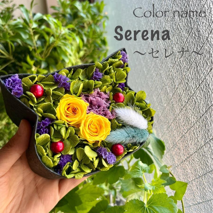 こねこばこ Serena セレナ プリザーブドフラワー オリジナル 猫型 フラワーボックス 個性派 ギフト | 