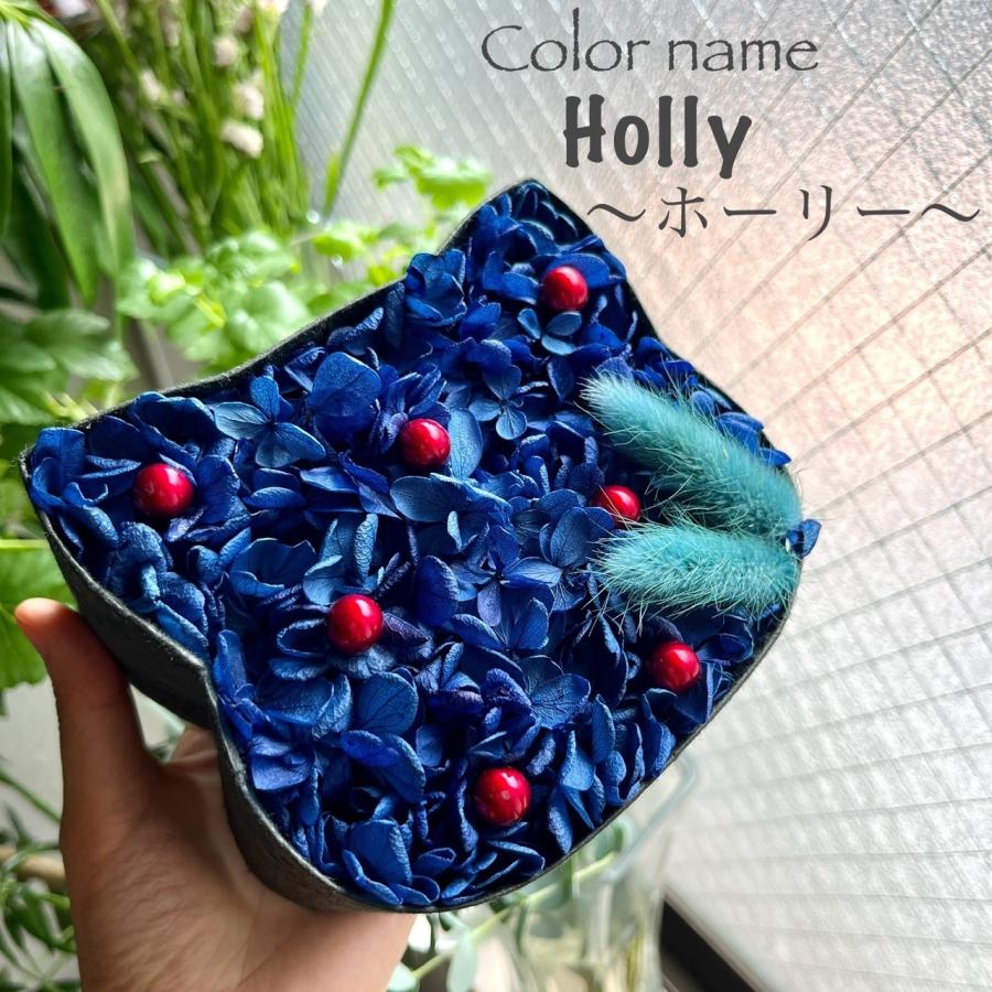ねこばこ Holly ホーリー プリザーブドフラワー オリジナル 猫型 フラワーボックス 個性派 大人かわいい オシャレ 猫ギフト | 