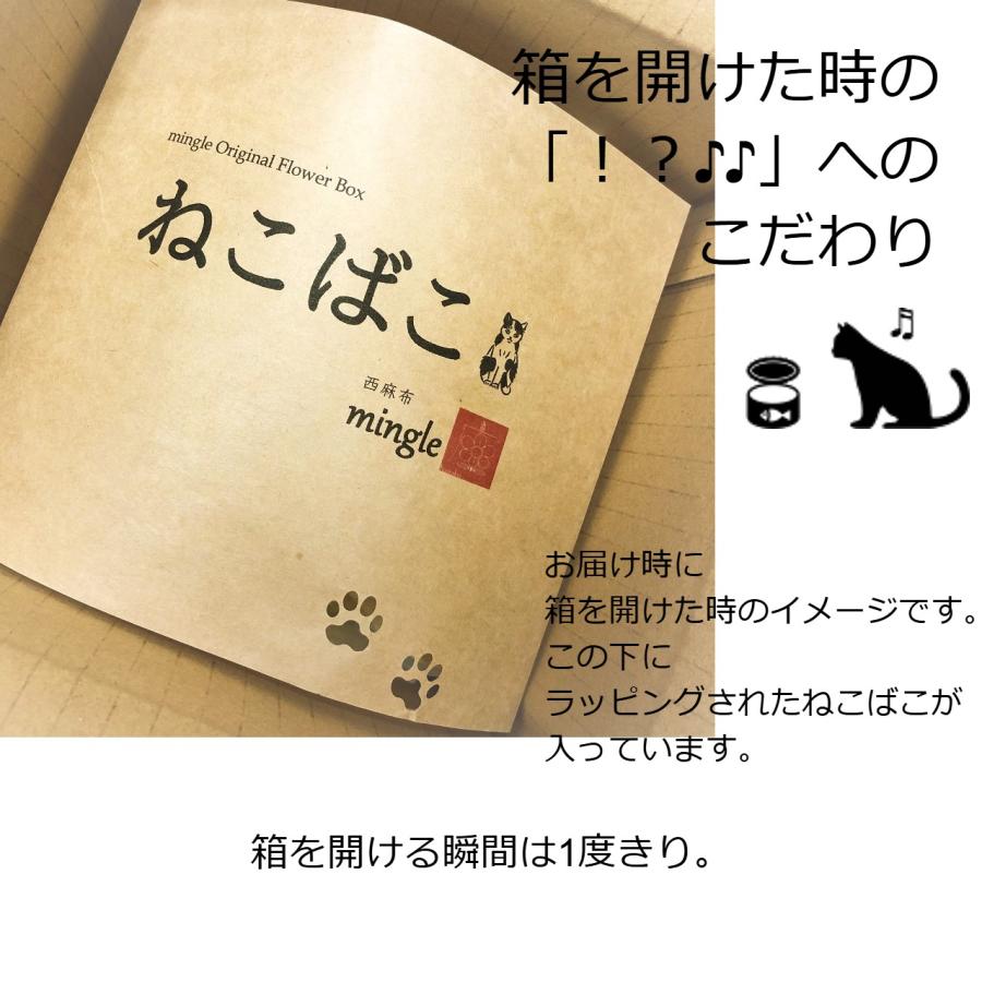 ねこばこ Mathilda マチルダ プリザーブドフラワー オリジナル 猫型 フラワーボックス 個性派 大人かわいい おしゃれ 猫ギフト |  | 04