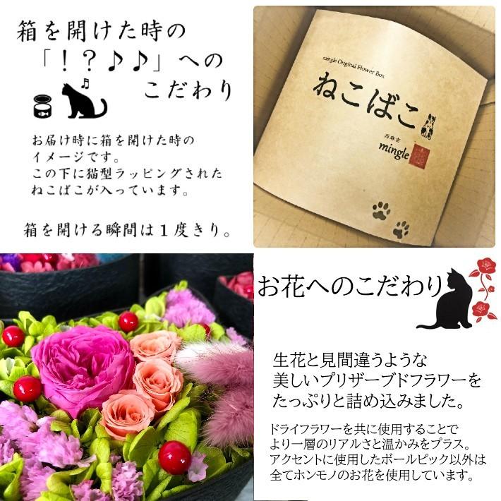 ねこばこ Olivia オリビア プリザーブドフラワー オリジナル 猫型 フラワーボックス 個性派 ギフト Nekobako Olivia 西麻布のお花屋さんmingle 通販 Yahoo ショッピング