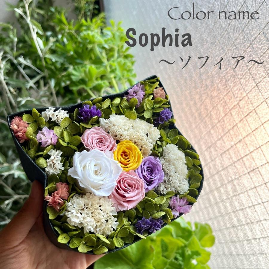 ねこばこ Sophia ソフィア プリザーブドフラワー オリジナル 猫型 フラワーボックス 個性派 大人かわいい おしゃれ 猫ギフト | 