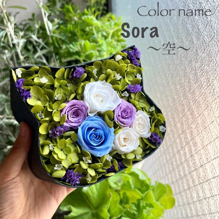 ねこばこ Sora 空 プリザーブドフラワー オリジナル 猫型 フラワーボックス 個性派 大人かわいい おしゃれ 猫ギフト | 