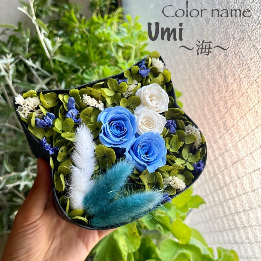 ねこばこ Umi 海 プリザーブドフラワー オリジナル 猫型 フラワーボックス 個性派 大人かわいい おしゃれ 猫ギフト | 