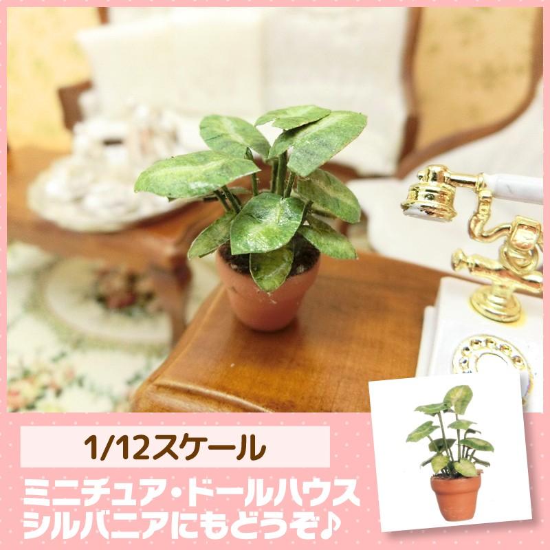 ミニチュア　ドールハウス　観葉植物　ミニチュア小物｜mini-12bunno1