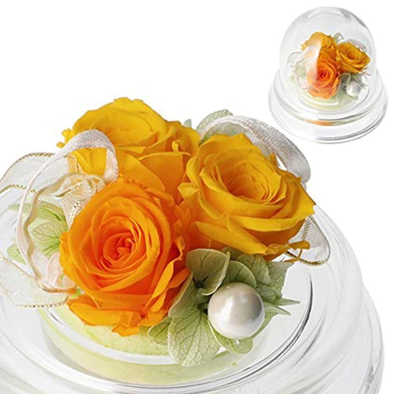 プリザーブドフラワー ギフト プレゼント ポエム イエロー 1vf4fzj3dt Superopticas Com