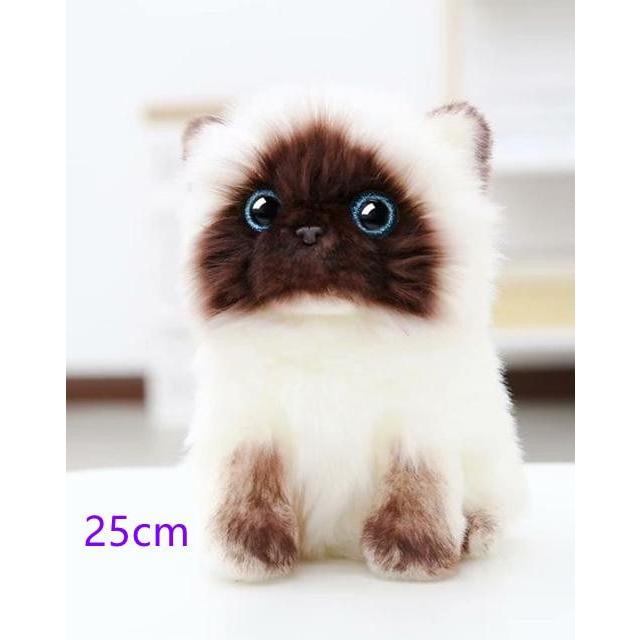 シャム猫の形をしたリアルなぬいぐるみ アメリカのショートヘアのシミュレーションおもちゃ かわいい動物の人形 家の装飾 女の子への誕生日プレゼント a 0004 0000 Minimum Tokyo 通販 Yahoo ショッピング