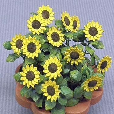 klok Beginner Voorzichtig ミニヒマワリ（14本制作可） Mini sunflower 1/12 :KAM-G-22:ミニチュアパーク - 通販 - Yahoo!ショッピング
