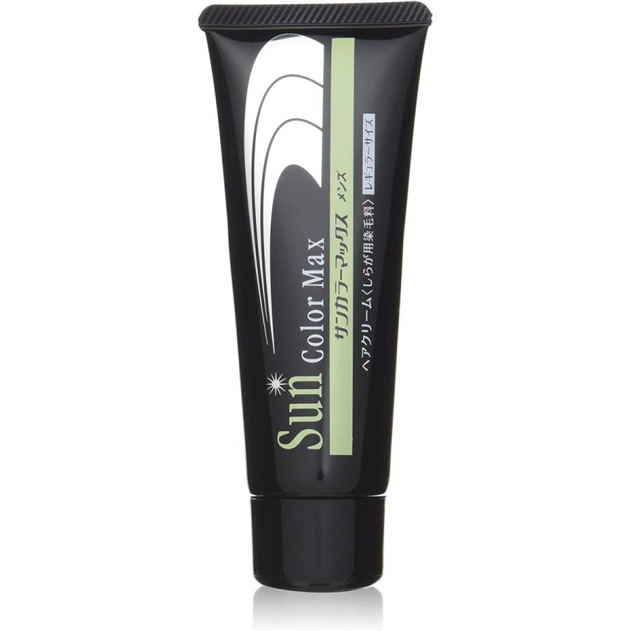 数量限定 サンカラーマックス男性用 75g 2個セット ダークブラウン 2本セット 正規激安 Cih Dev Humbird Com