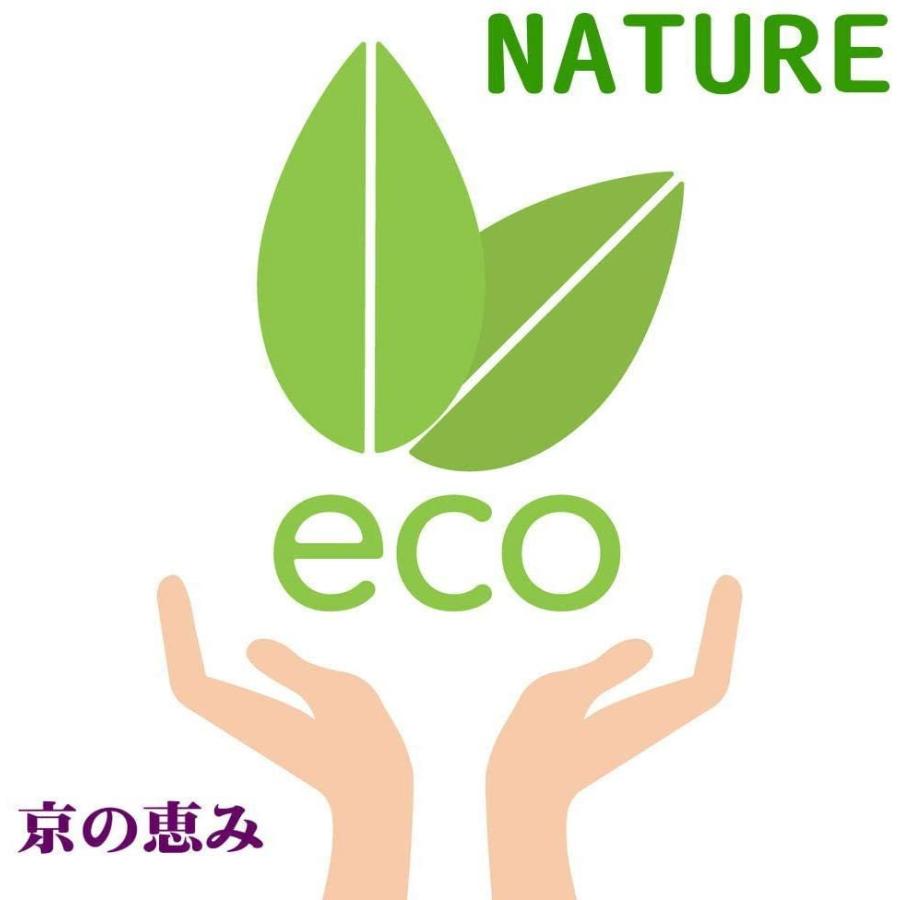 送料込 高級 薩摩本つげ とき櫛 5 5寸 並歯 約65 70本 50 Off City Com Fr