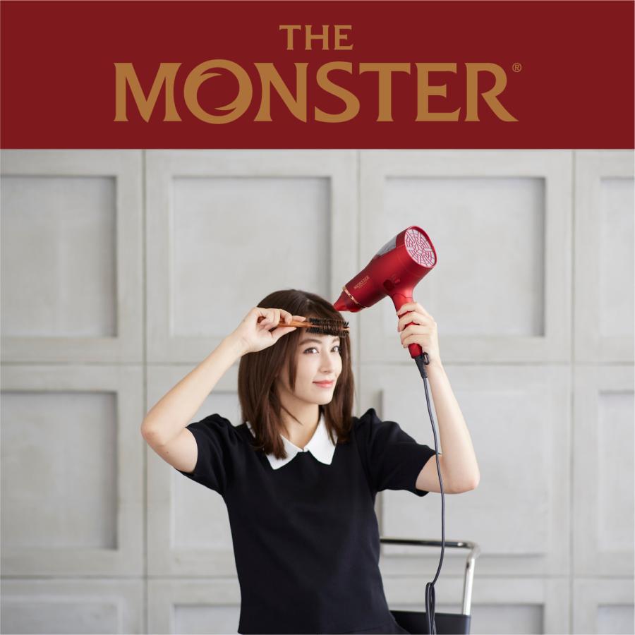 MONSTER（コイズミ） コイズミ MONSTER ダブルファンドライヤー KHD