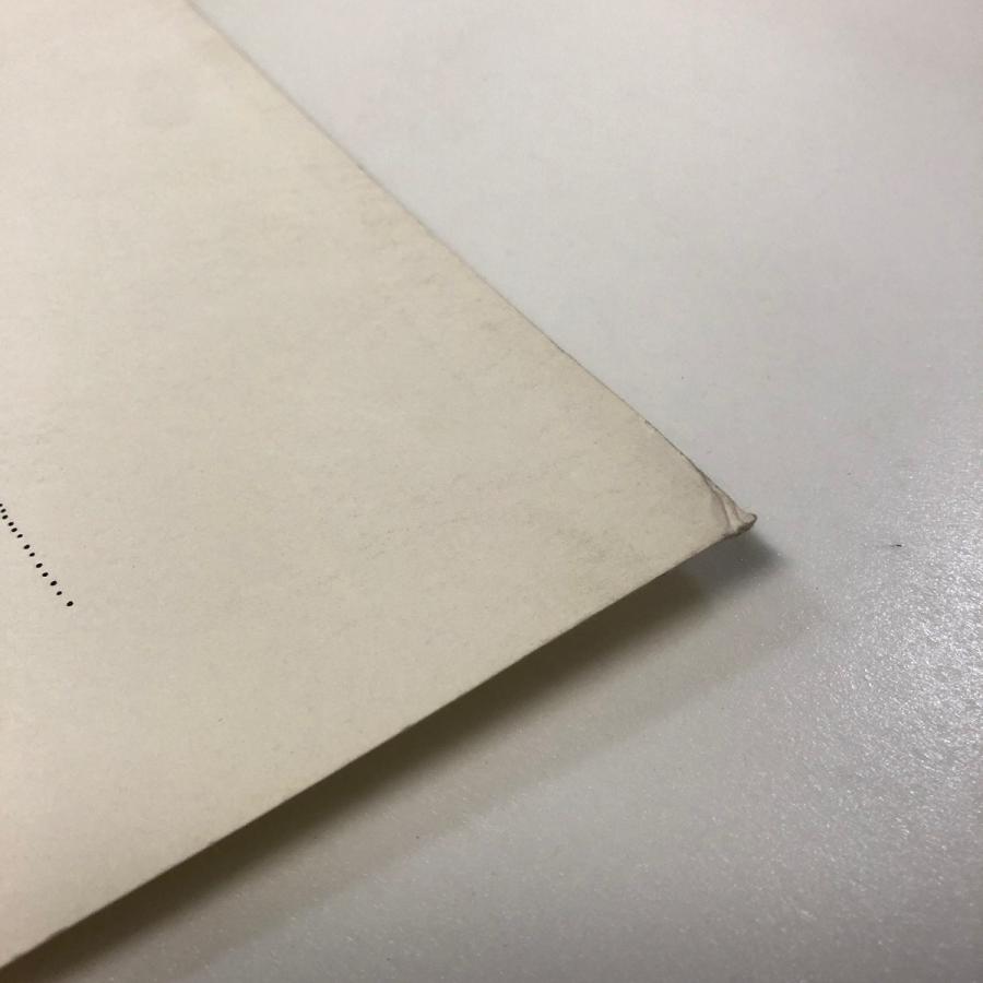 現品　Ferrari 【人工植物】 250 テスタロッサ　点画　ポスター