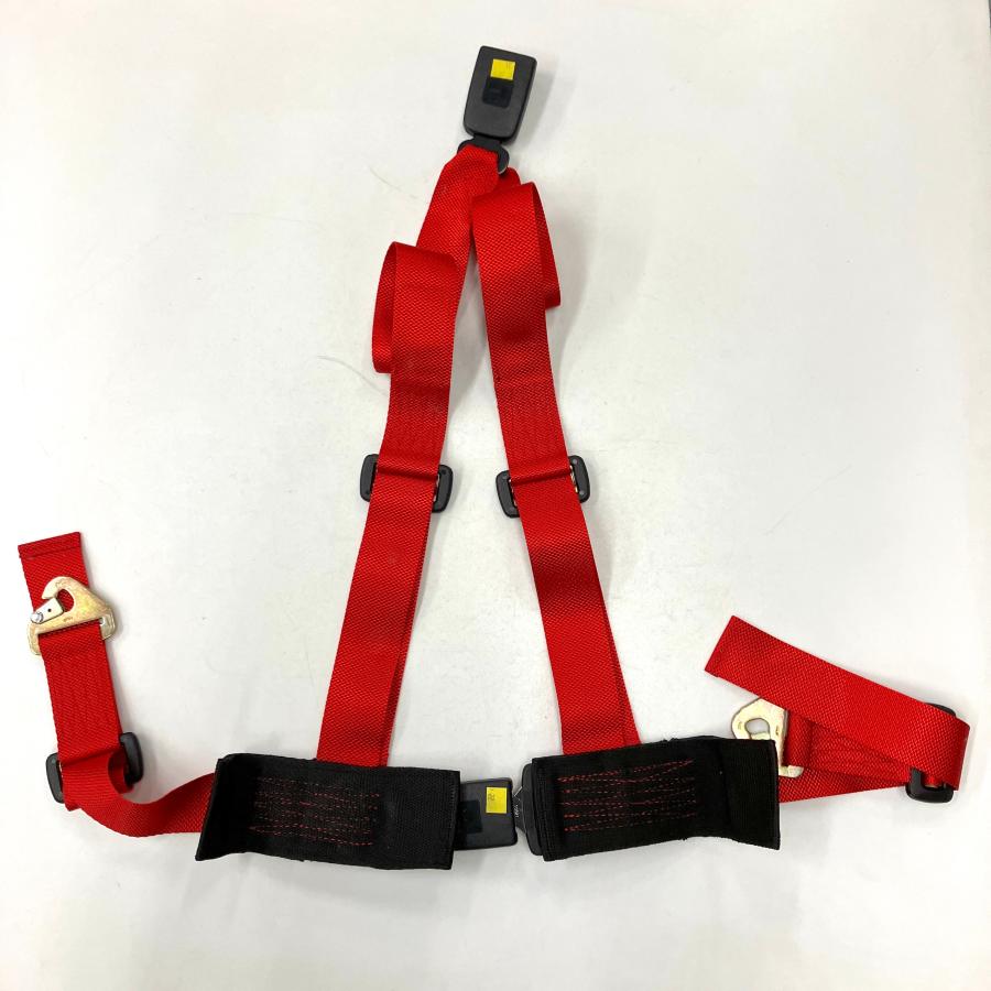 D.ヒル 本人実使用直筆サイン入り 6点式シートベルトウィリアムズ Bill Wall Leather/ビルウォールレザー】ペンダント/PN925:Medium