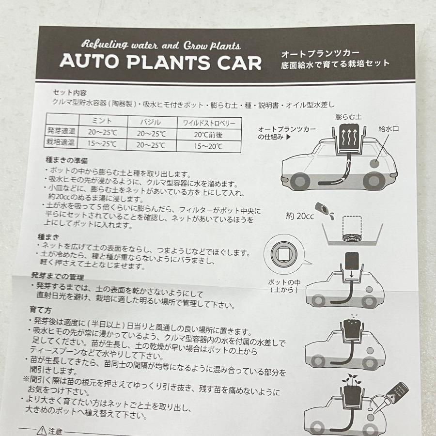 現品 ワイルドストロベリー栽培キット ミニプランター レッド : ミニ