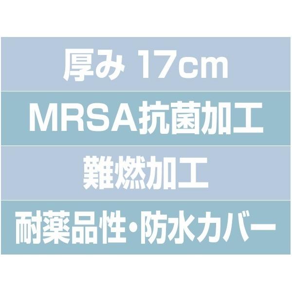 ここちあ利楽flow 清拭タイプ 83幅 KE-913S パラマウントベッド ペット用品、生き物 犬用品 ヘルスケア、介護用品