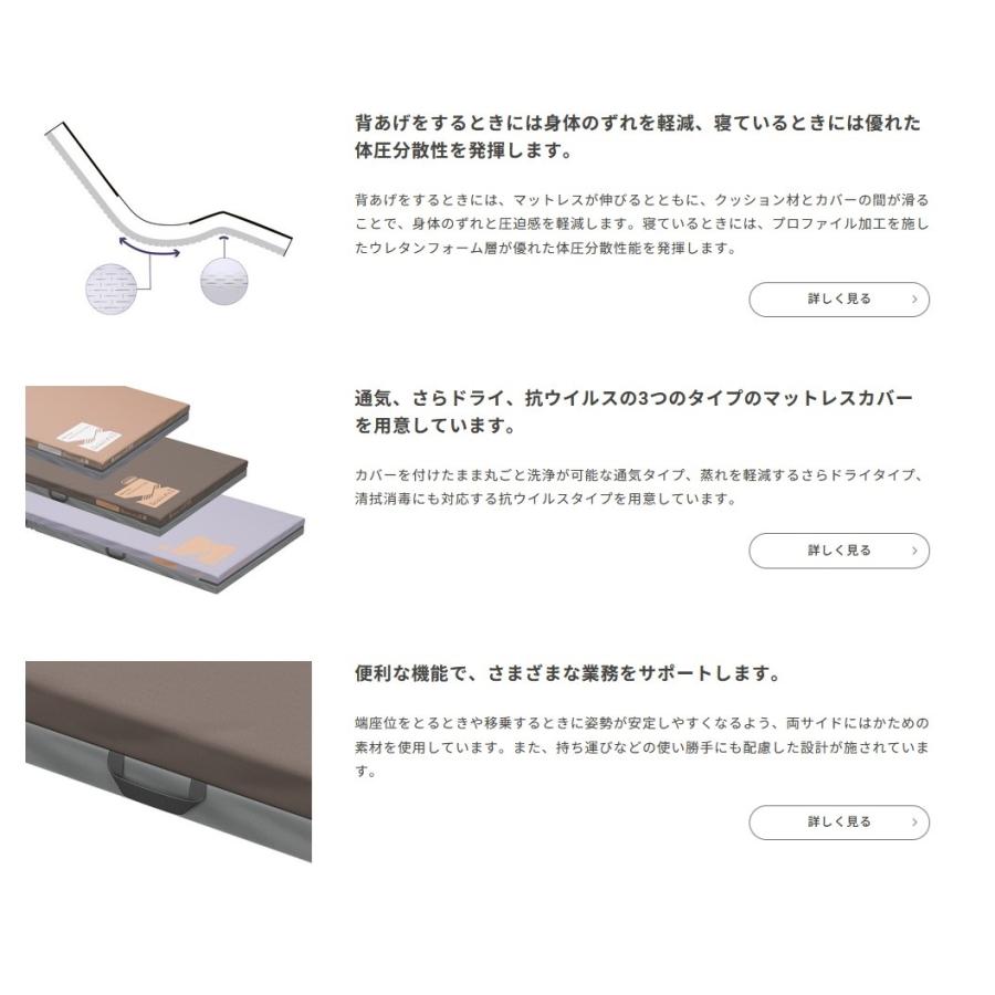 ストレッチフィットII さらドライ レギュラサイズ パラマウントベッドの画像