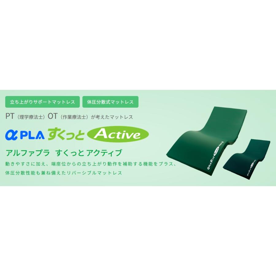 通気タイプ 床ずれ 予防 介護 マット アルファプラすくっとActive