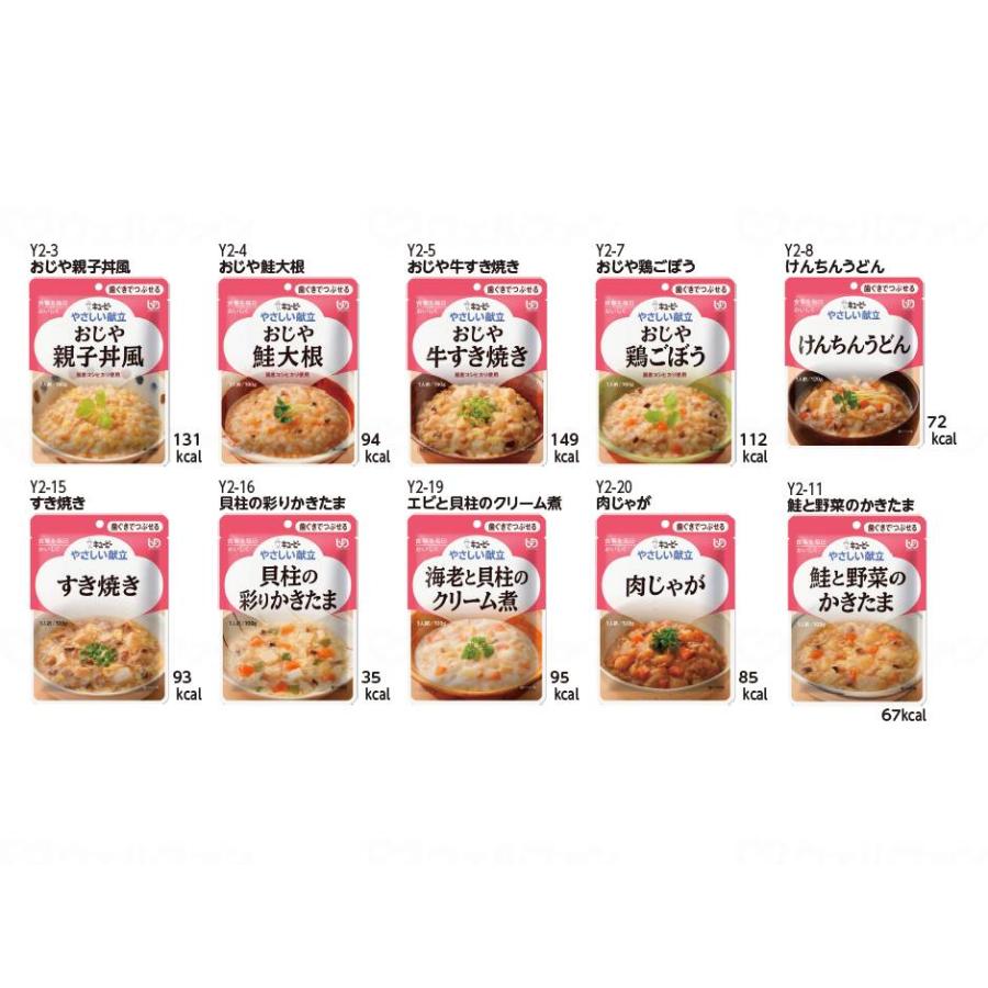 介護食セット 20個入り あいーと キューピーはおまけ やさしい献立II