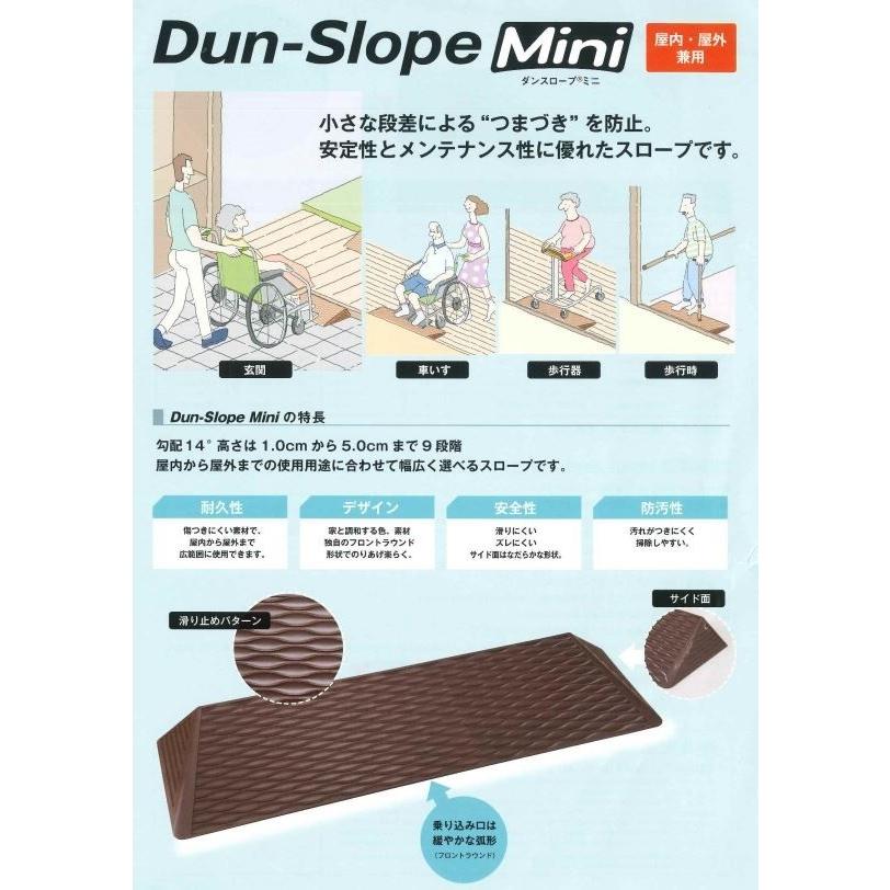 ダンスロープ ミニ Dun-Slope Mini 屋内・屋外兼用 段差1cm対応 R