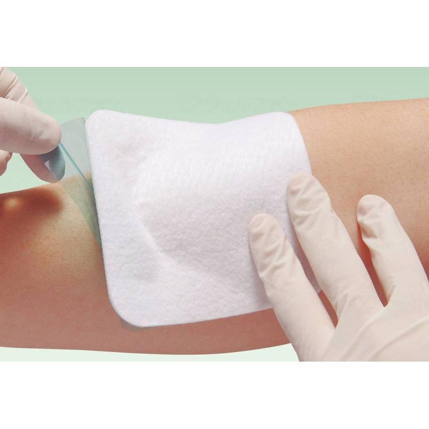 エスアイエイド 5号 18762 10×10cm 3枚入 創傷 シリコーンゲルドレッシング アルケア メール便 |  | 01