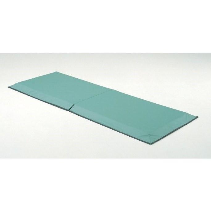 衝撃吸収マット KE-200 650x1800x40mm 衝撃緩和マット テスト―ル KE-200Q パラマウントベッド : 介護