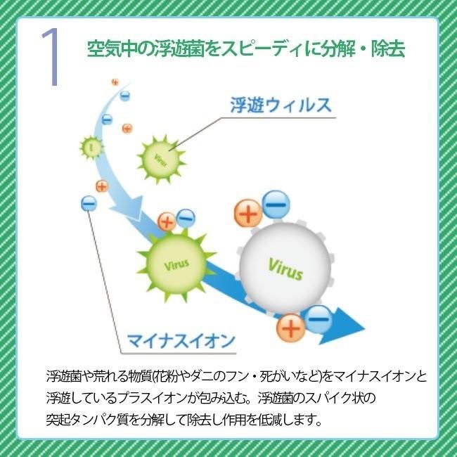ION MEDIC O-RELA イオン メディック オーリラ GSD-208 GSD ION GSD