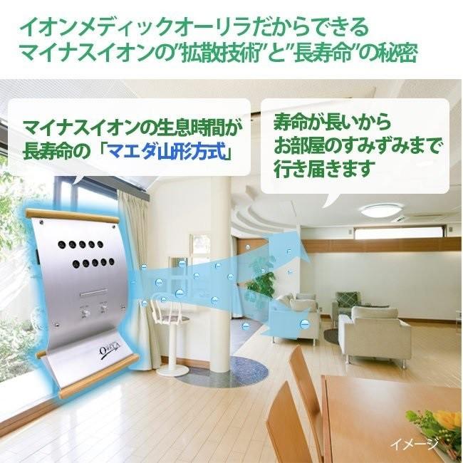 ION MEDIC O-RELA イオン メディック オーリラ GSD-208 GSD ION GSD