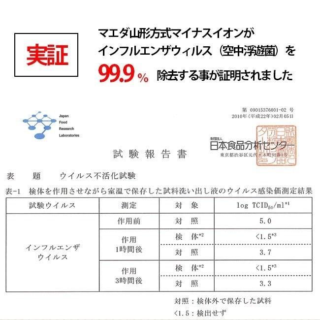ION MEDIC O-RELA イオン メディック オーリラ GSD-208 GSD ION GSD