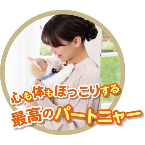 なごみケーションにゃんこ ぬくもり イワヤ_3