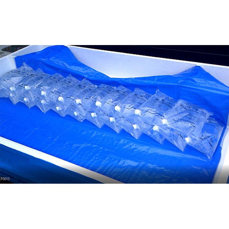 備蓄  水害 水のう 防災 災害 水のう君 II 1.8ｍ セット BD-601 総合サービス ワンズケア すいのう 水嚢 台風 水のう君 2の画像
