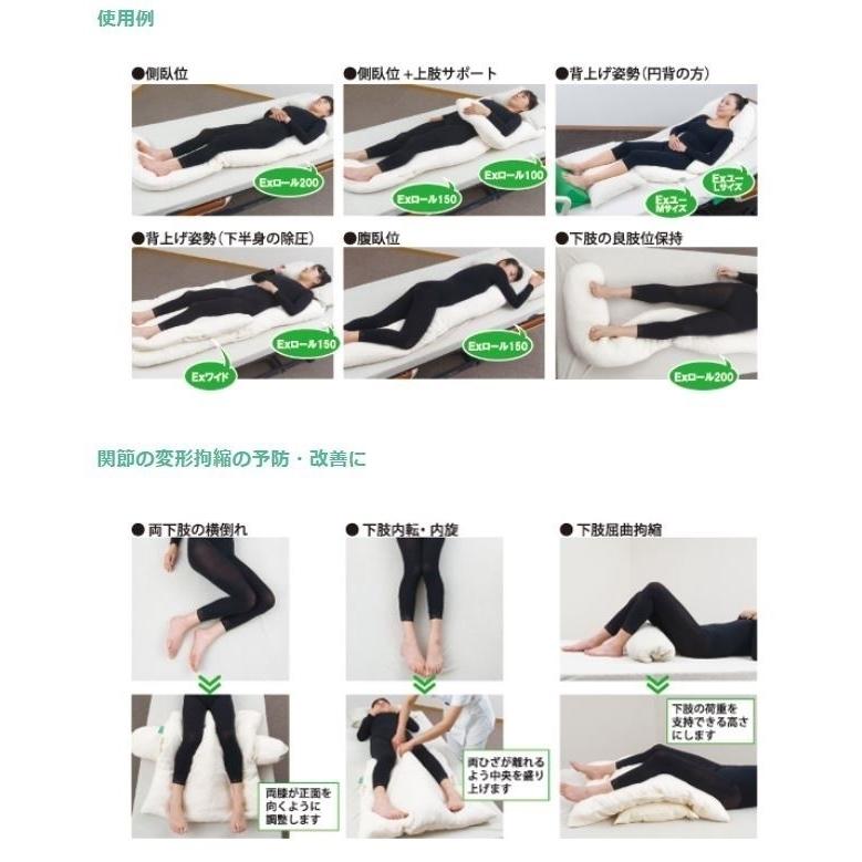 ナーセントEXユー L アイ・ソネックスの画像