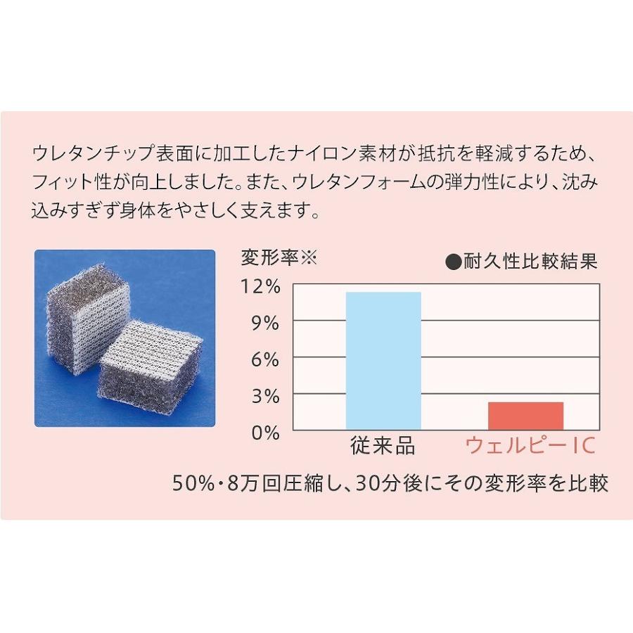 ウェルピー IC ブルー ウェーブ PC-ICB-W1 タイカの画像