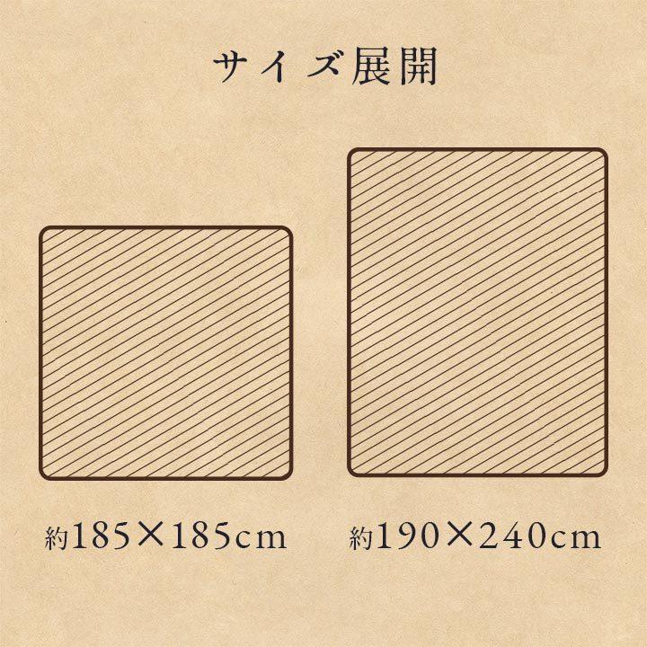 ラグ 洗える 長方形 こたつ敷 チェック 額縁調 ブラウン 約3畳 約190