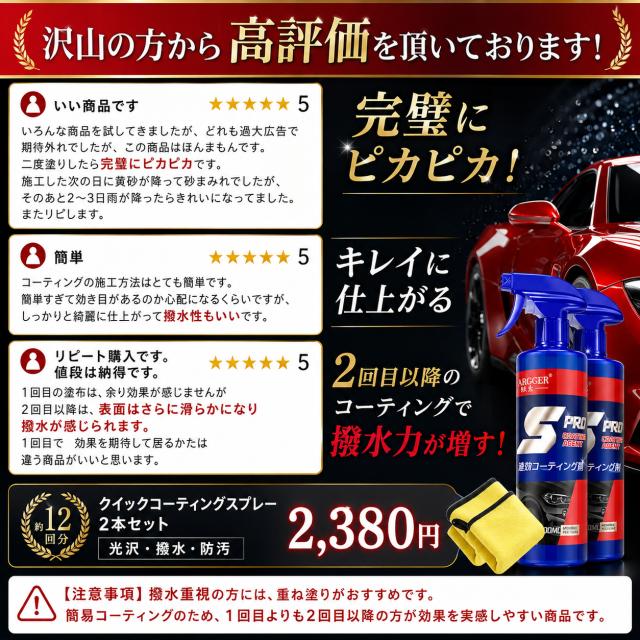 車用ナノコーティング剤 2本セット コスパ最強 大容量500ml クロス付き