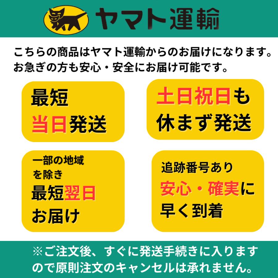 車用ナノコーティング剤 2本セット コスパ最強 大容量500ml クロス付き 撥水 艶出 手入れ簡単 光沢 保護 ゴルフ |  | 10