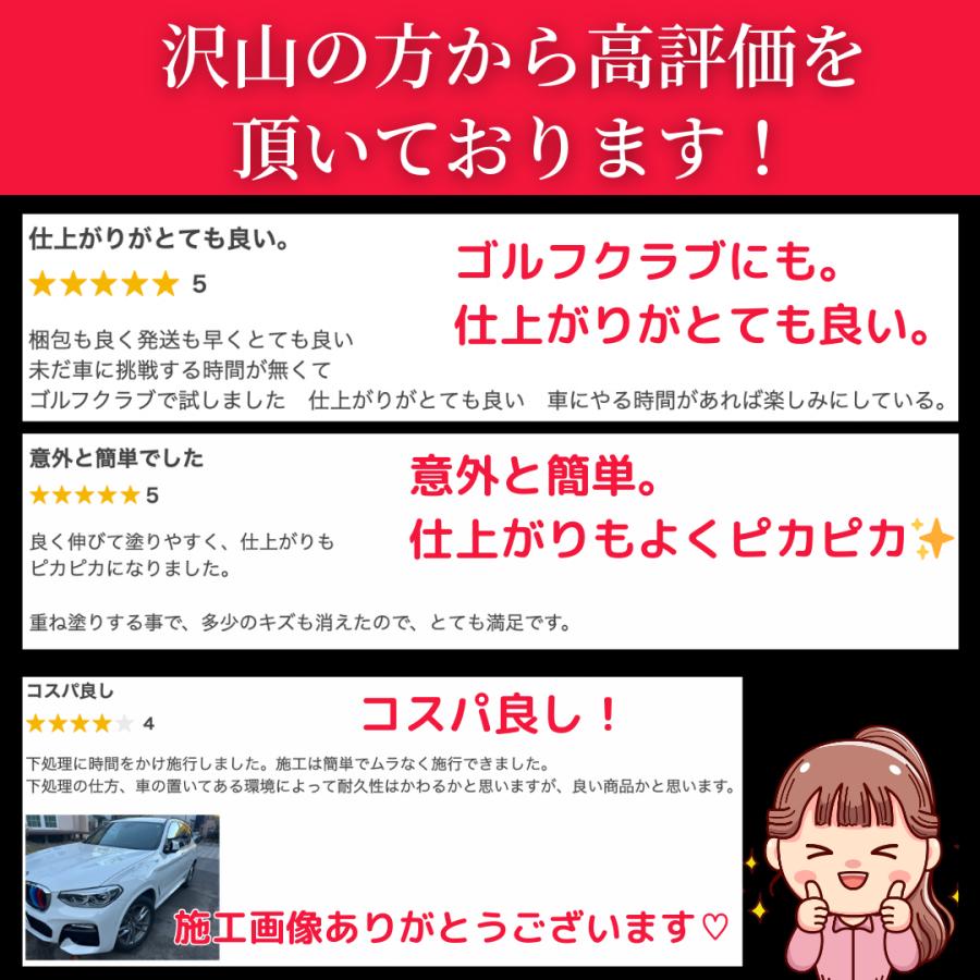 大容量 10Hガラスコーティング剤 車 鏡面 超撥水 艶出 光沢 保護 最強