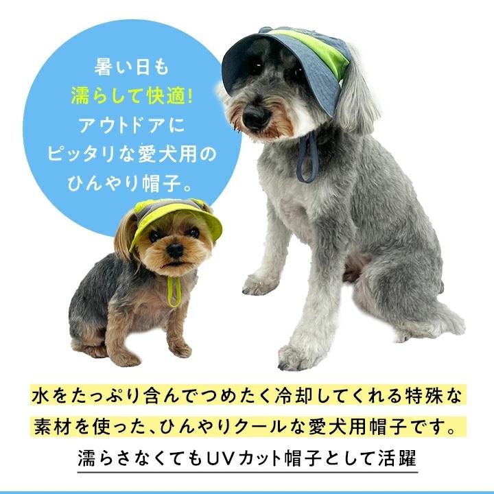iDog 犬 帽子 AQUA HOLD ひんやりアクティブハット 超小型犬 小型犬