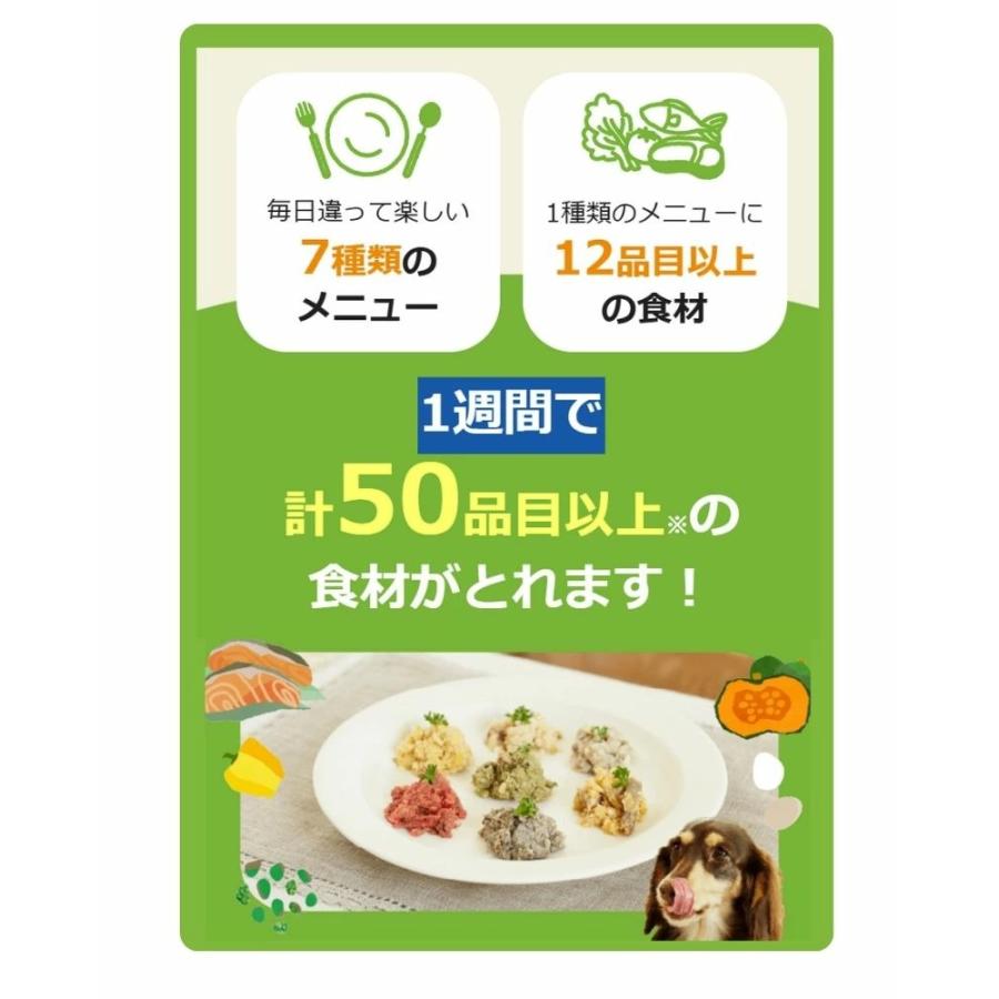 賞味期限2026.12月【お試し】犬用 7Days Food フリーズドライ アソート