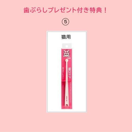 選べる特典付】【2個】 クリスタルジョイ CRYSTAL JOY 60g×2個