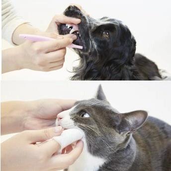 CRYSTAL JOY クリスタルジョイ 歯みがきジェル アニコム デンタル