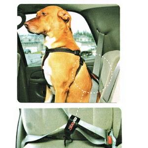 EZYDOG（イージードッグ） カーシート アタッチメント 車用 : みんな