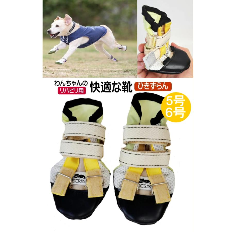 ひきずらん5号6号】犬の靴 わんちゃんの「快適な靴」5号/6号 2本入